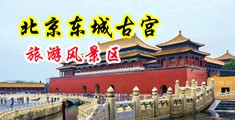 男女曰逼视频国产中国北京-东城古宫旅游风景区